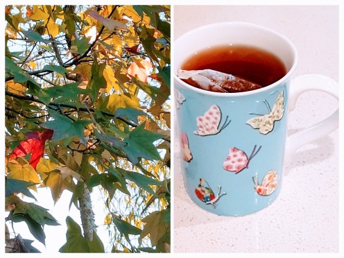 20180617_160409-collage